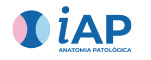 iap-piracicaba.png